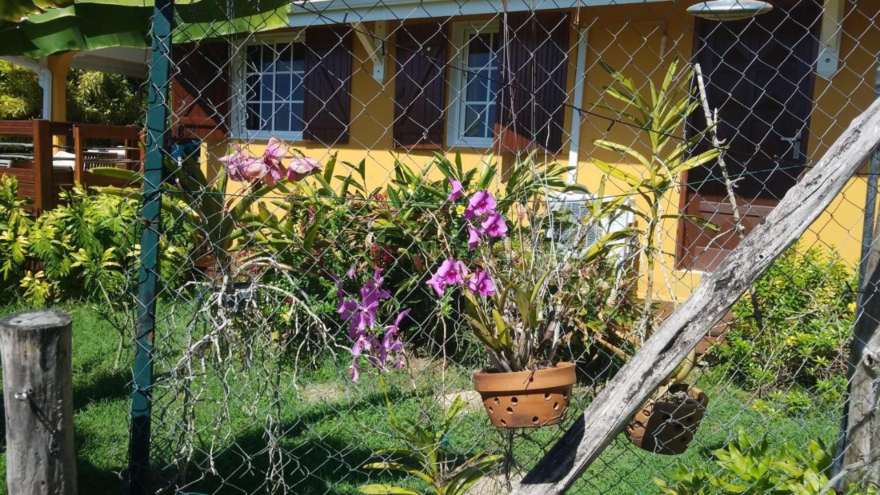 Kreyol Lodges - Suite Kayou Deshaies Exterior photo